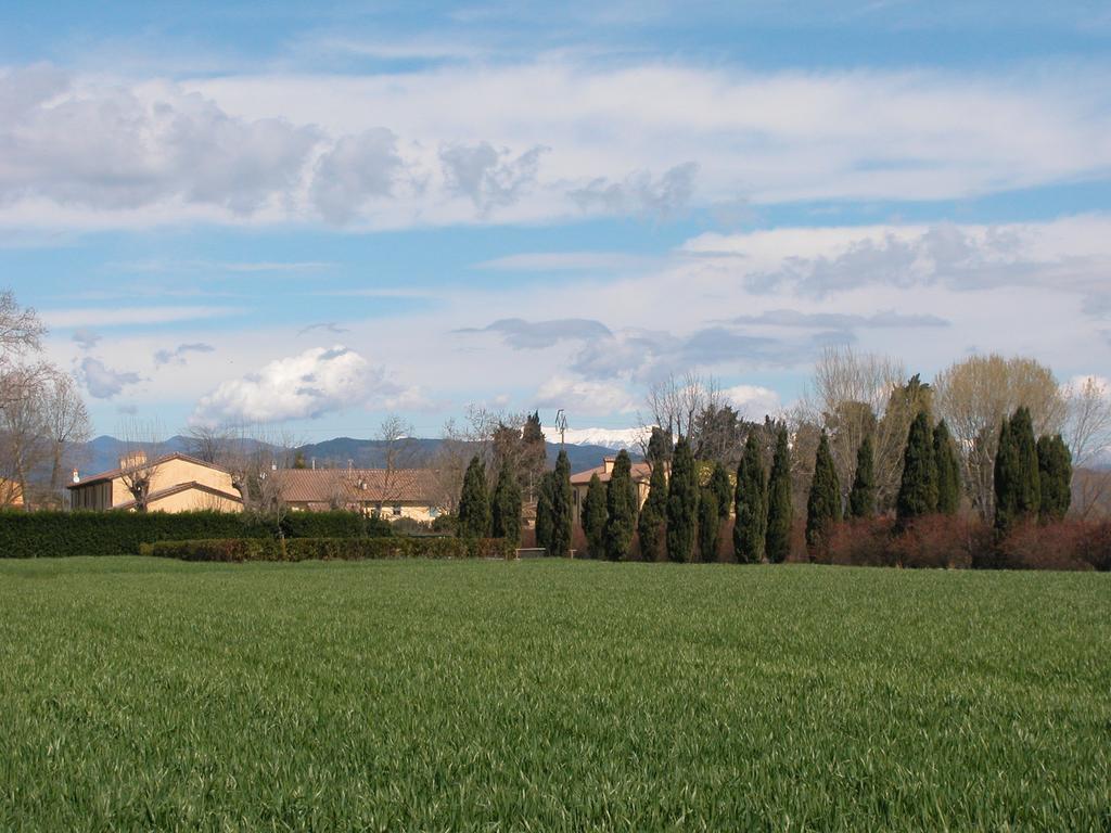 Fattoria Di Migliarino Villa Migliarino Pisano Bagian luar foto