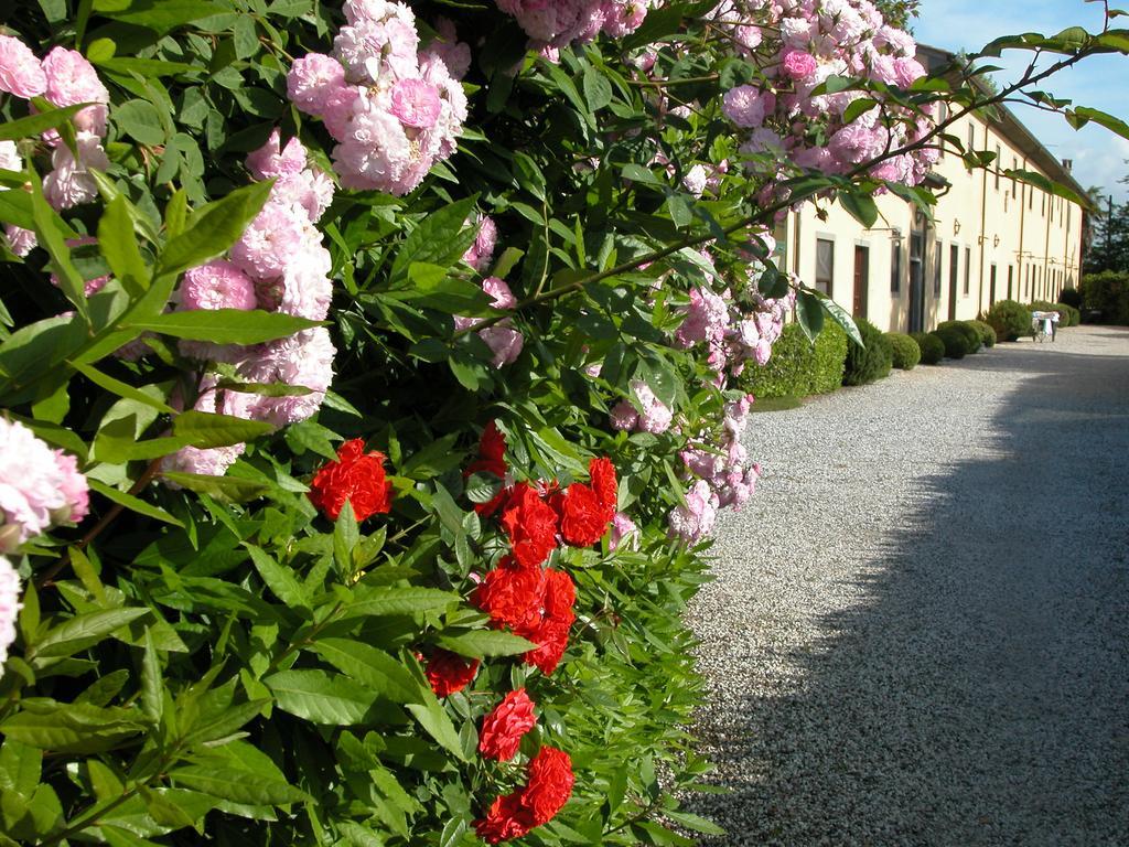 Fattoria Di Migliarino Villa Migliarino Pisano Bagian luar foto