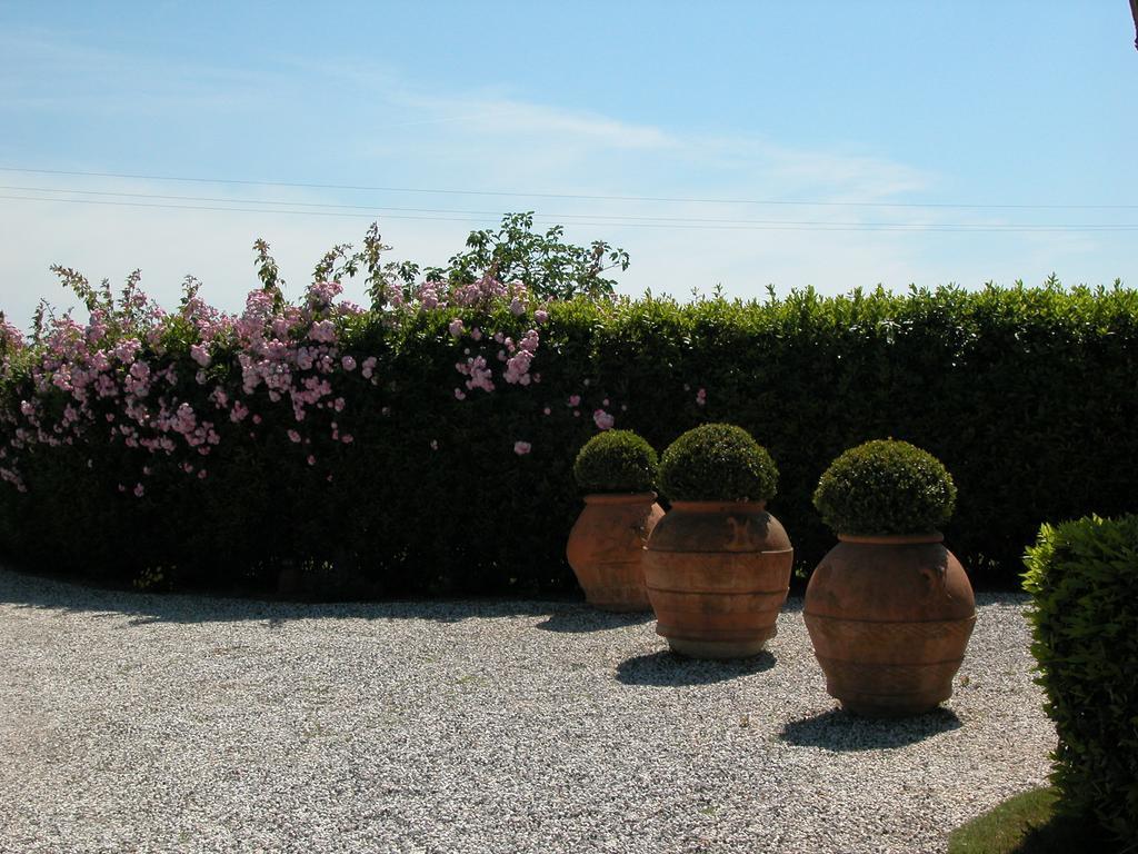 Fattoria Di Migliarino Villa Migliarino Pisano Bagian luar foto