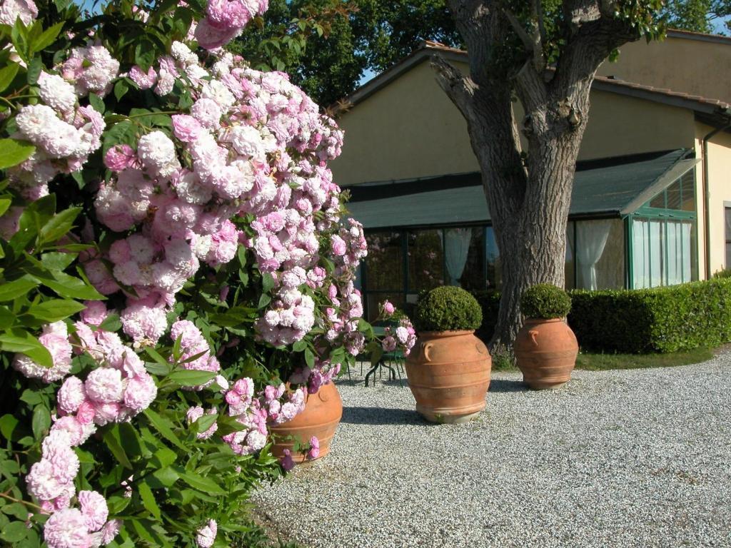 Fattoria Di Migliarino Villa Migliarino Pisano Bagian luar foto